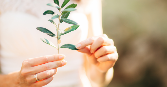 Accelerated Resolution Therapy (ART)